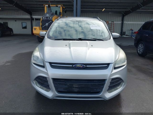 Ford Escape Se Image 7