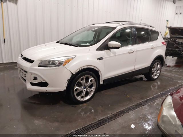 Ford Escape Titanium Image 4
