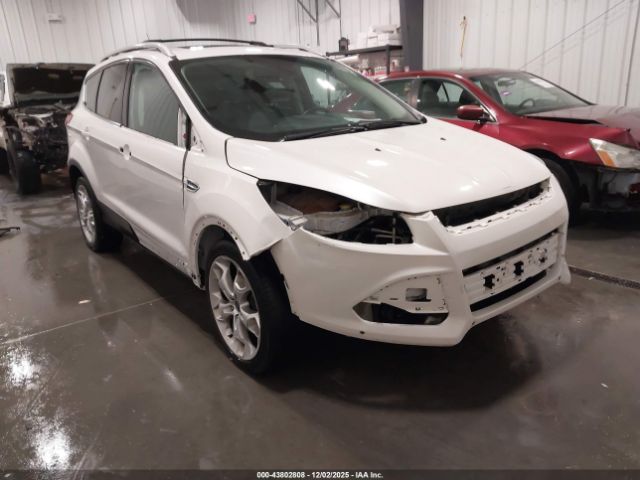 Ford Escape Titanium Image 8