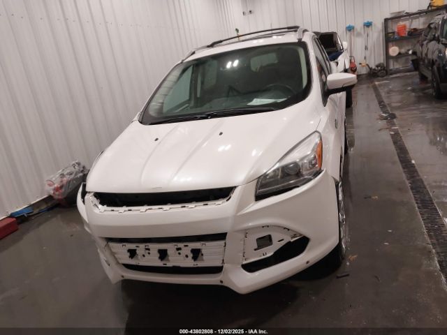 Ford Escape Titanium Image 17