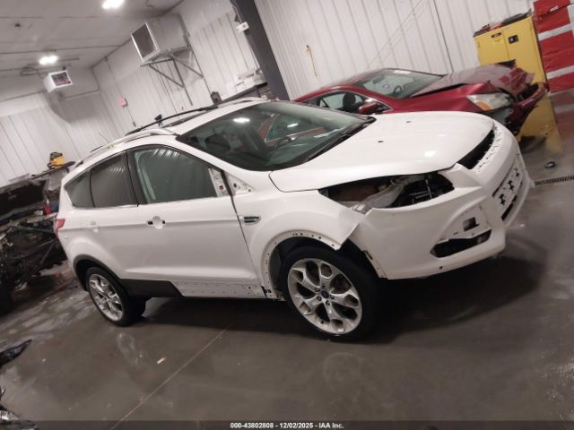 Ford Escape Titanium Image 11