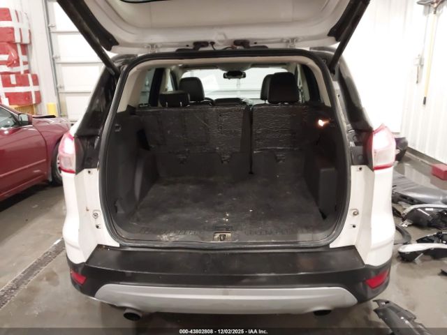 Ford Escape Titanium Image 19