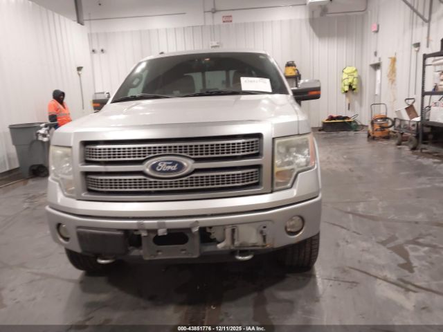 Ford F-150 Image 2