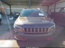 Jeep Cherokee Trailhawk 4x4 Image 15